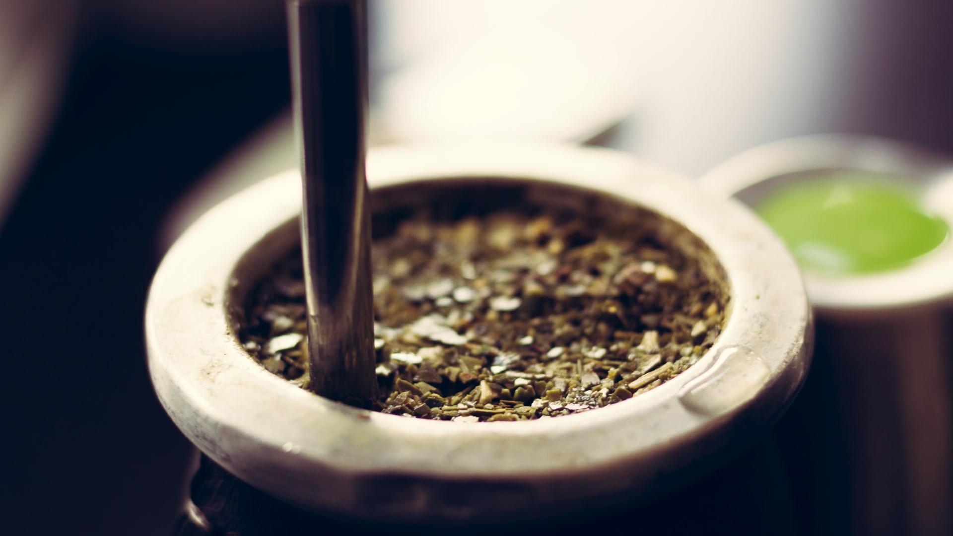 yerba-mate
